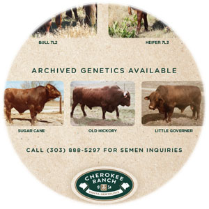 Cherokee Ranch sells bull semen and embryos